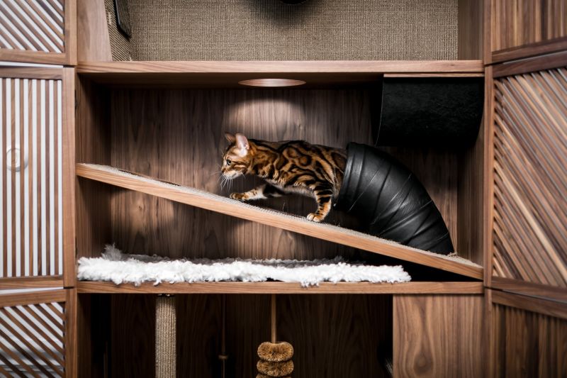 The Cat Flat Is Your Kitty's Fortress Hidden Inside A Wooden Cabinet