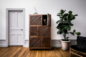 This Cat Flat by 24Storage is Ideal for You and Your Cat