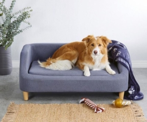 Aldi’s Pet Sofa Beds will be Available Again After 21 March