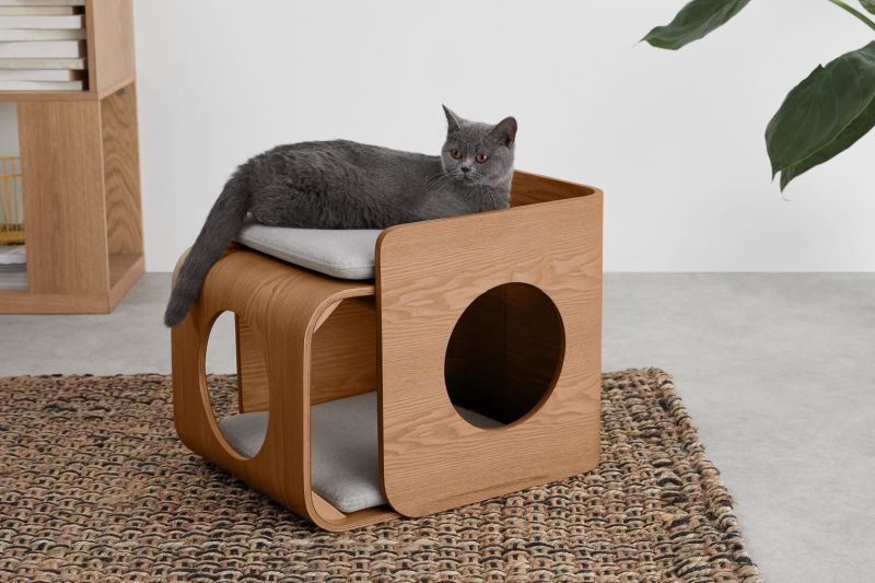 best designer cat bed