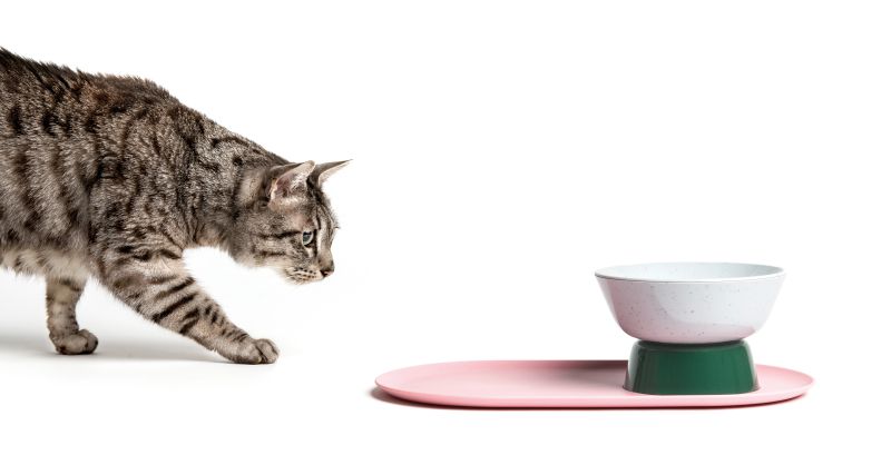 LAYER Designs Cat-Friendly Furniture on Feline Behavior 