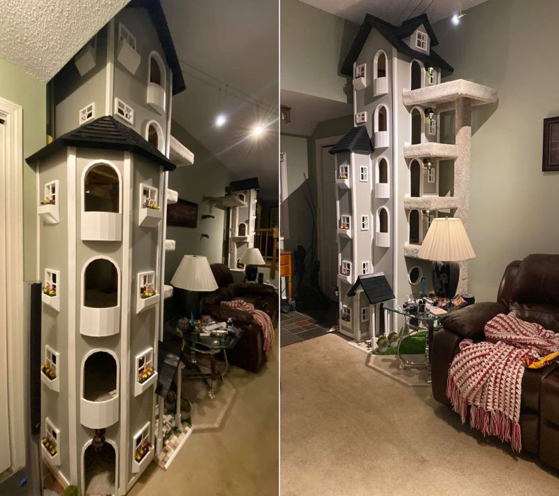 Man Builds High-Rise Towers for His Cats and Gets Viral on Social Media 