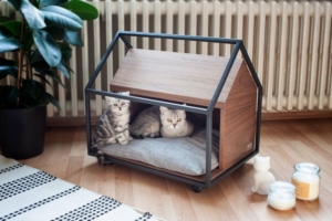 PET-TURE CAGE Pet Bed Embraces Feeling of Real Home