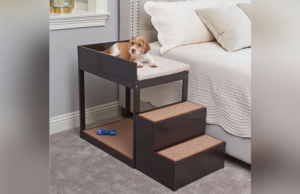 Penn Plax Dog Bed Allows Your Pet to Sleep Next to Your Bed With Taking Up Your Space