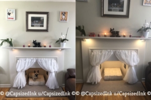 Redditor Turns Empty Fireplace into Little Dog Condo