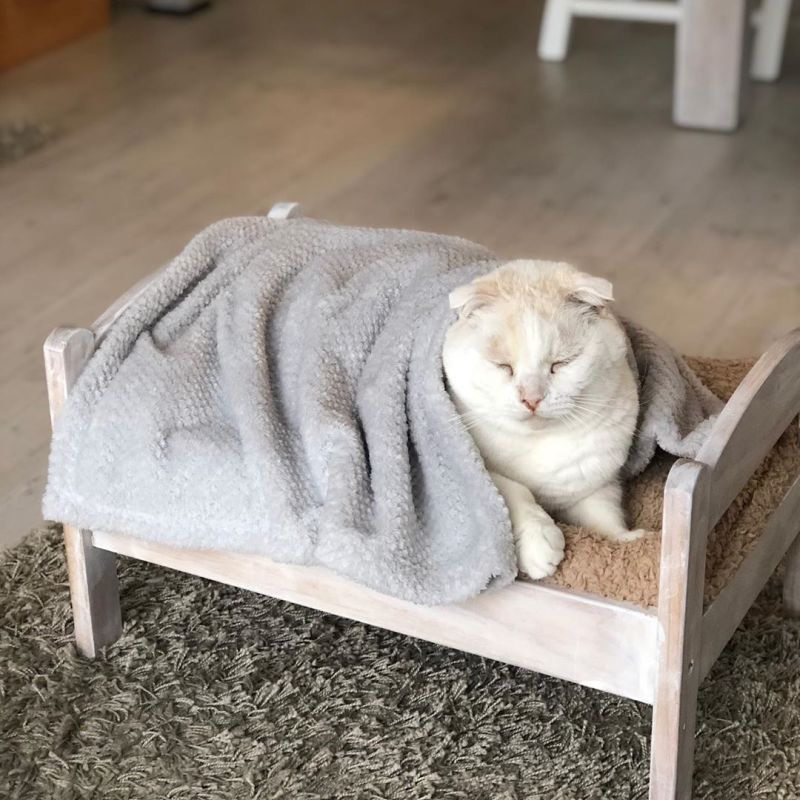 ikea toy bed cat