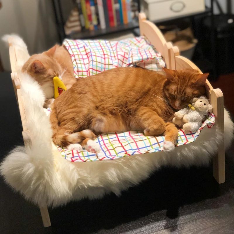 IKEA DUKTIG cat bed 