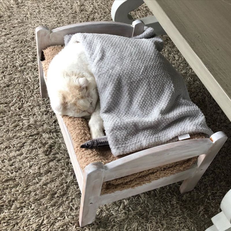 IKEA DUKTIG cat bed 