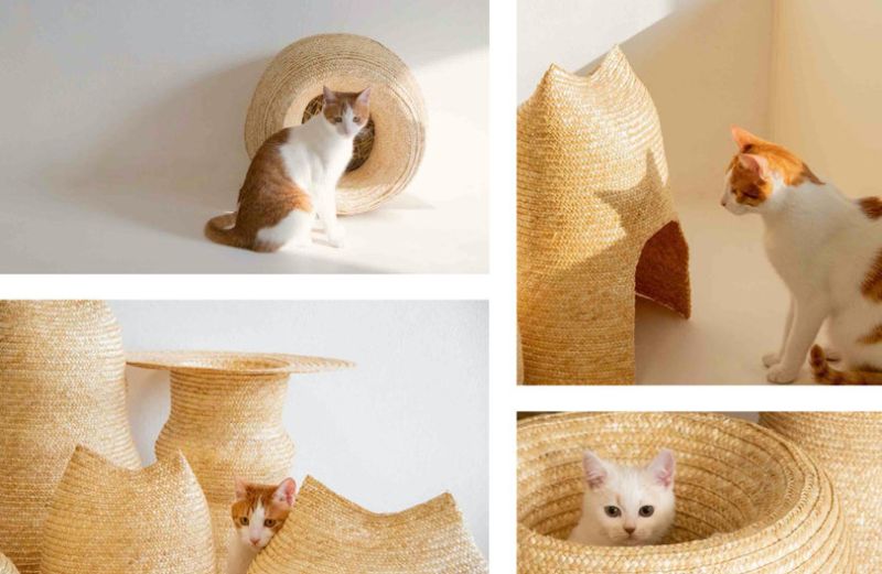 Core77 Design Awards: WHECAT Cat Houses Made from Wheat Straws