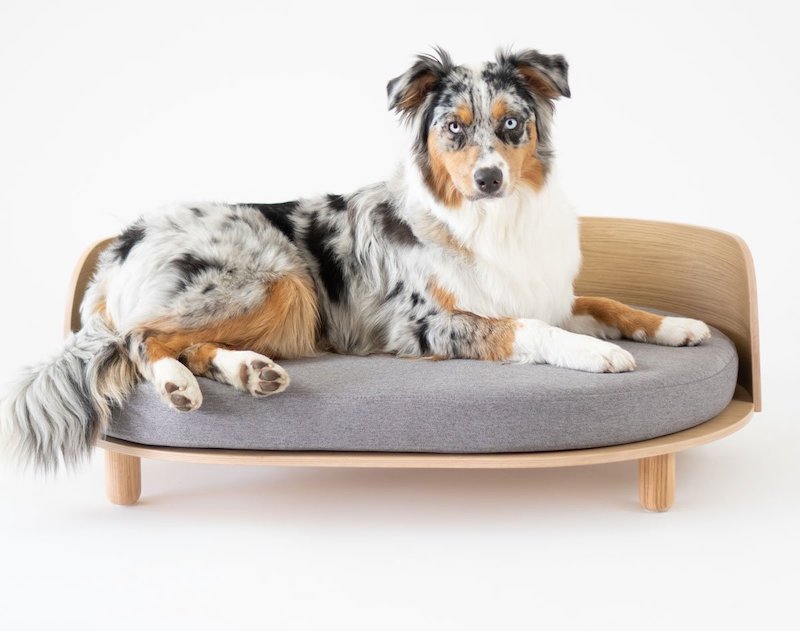 Loue Dog Bed Combines Unparalleled Design with Exceptional Quality