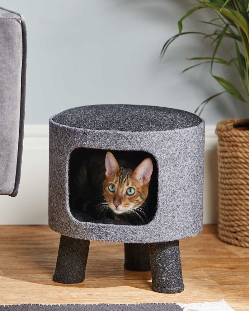 Aldi-cat-hideaway