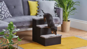 Aldi-pet-stairs