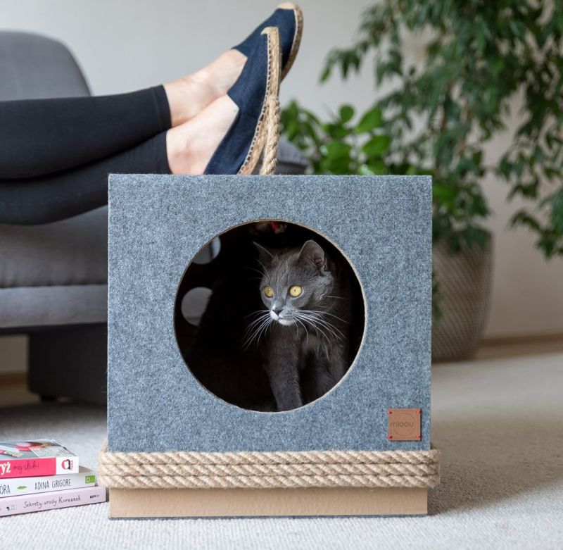 MIOOU Cat Furniture Will Make Both, You & Your Cat Happy 