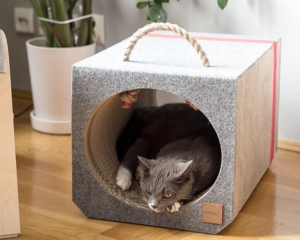 MIOOU Cat Furniture Will Make Both, You & Your Cat Happy