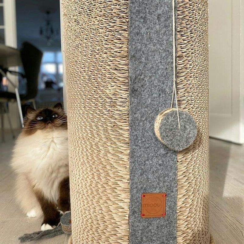 MIOOU Cat Furniture Will Make Both, You & Your Cat Happy 