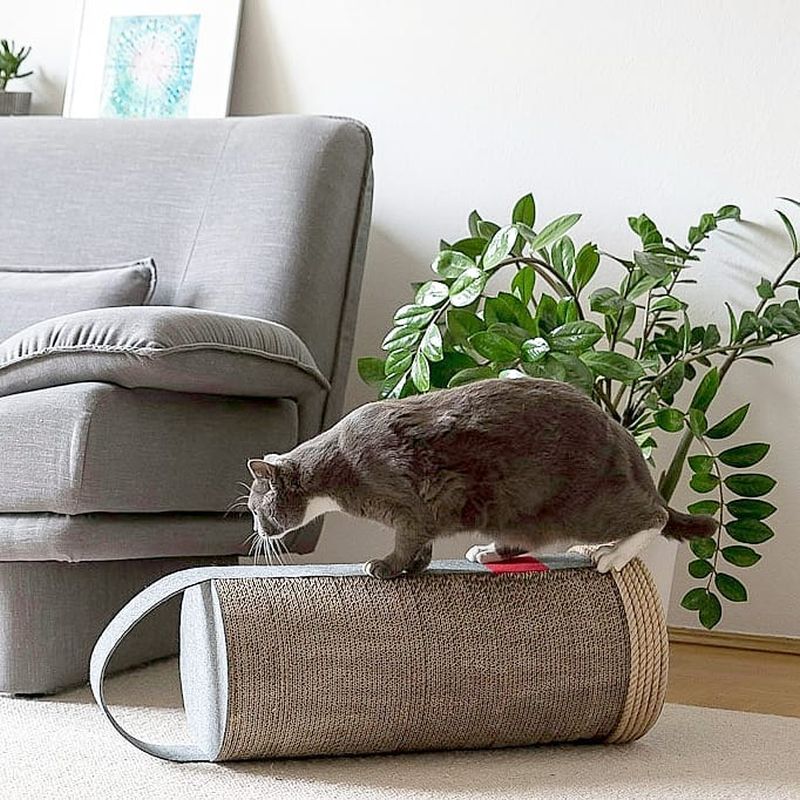 MIOOU Cat Furniture Will Make Both, You & Your Cat Happy 