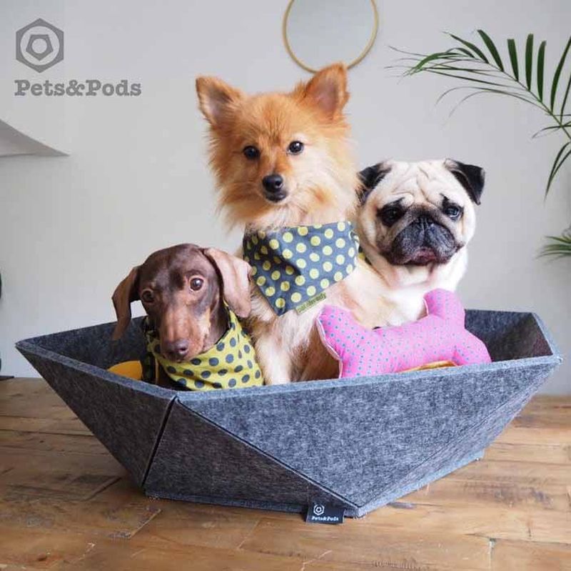 Pets and Pods modern pet furniture 