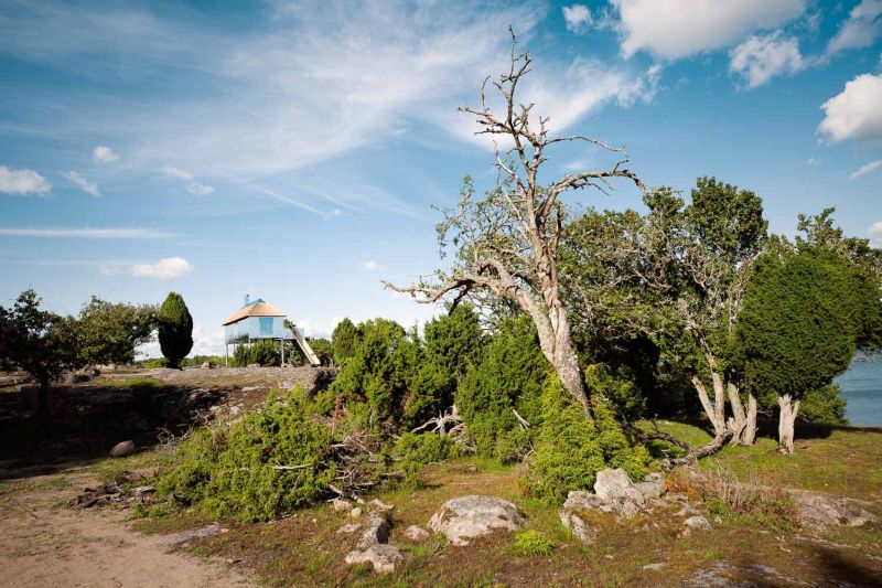 SynVillan Mirror Cabin is Newest Addition at Eriksberg Nature Reserve