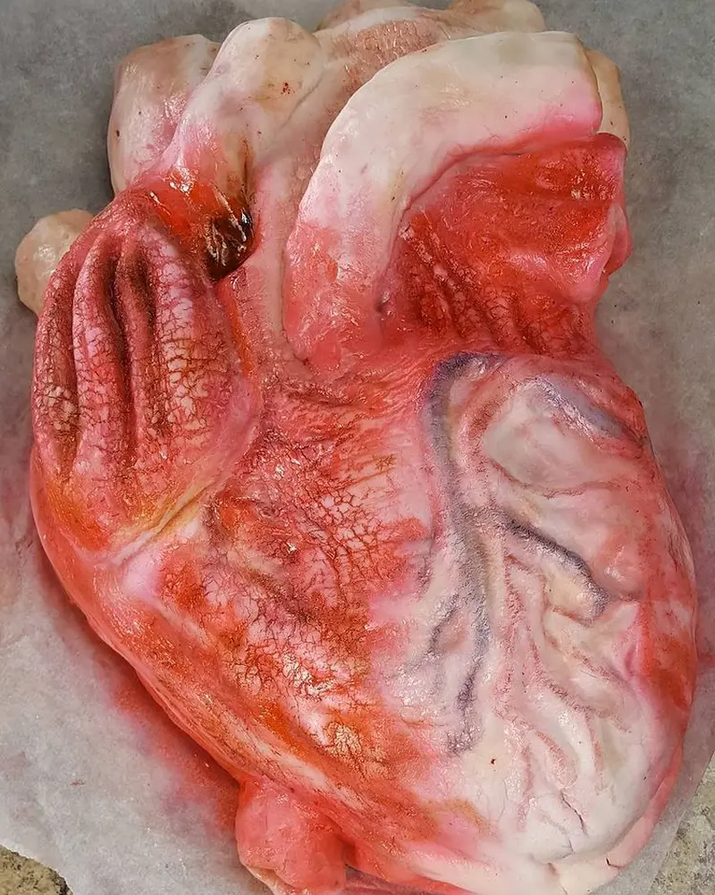 Human heart cake Halloween Party Food Ideas