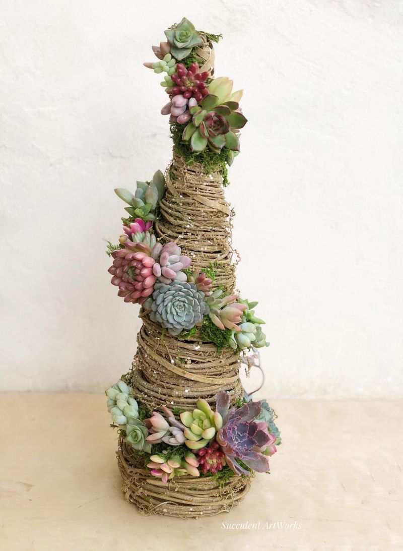 Succulent Christmas Trees are a Holiday Classic You May Know Before Now 