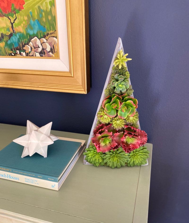 Succulent Christmas Trees are a Holiday Classic You May Know Before Now 