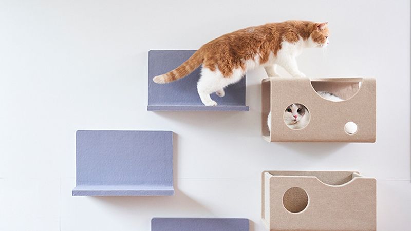 Nyanpeki Cat Wall can be Personalized According to Cats 