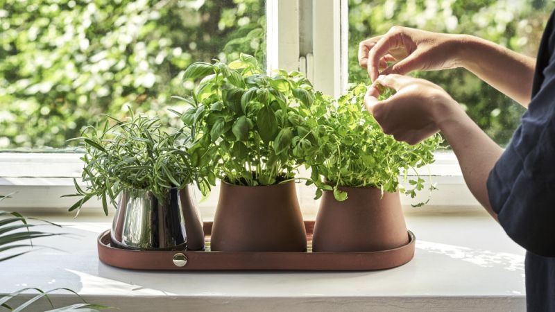 Snøhetta Designs Indoor Planting Accessory Collection for Georg Jensen 