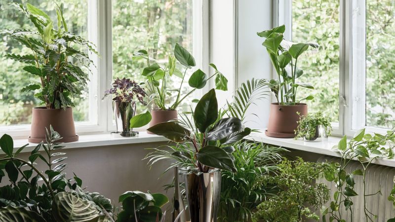 Snøhetta Designs Indoor Planting Accessory Collection for Georg Jensen 