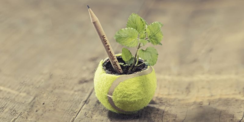 Sprout World Pencil Grows into Plants, Flowers and Vegetables 