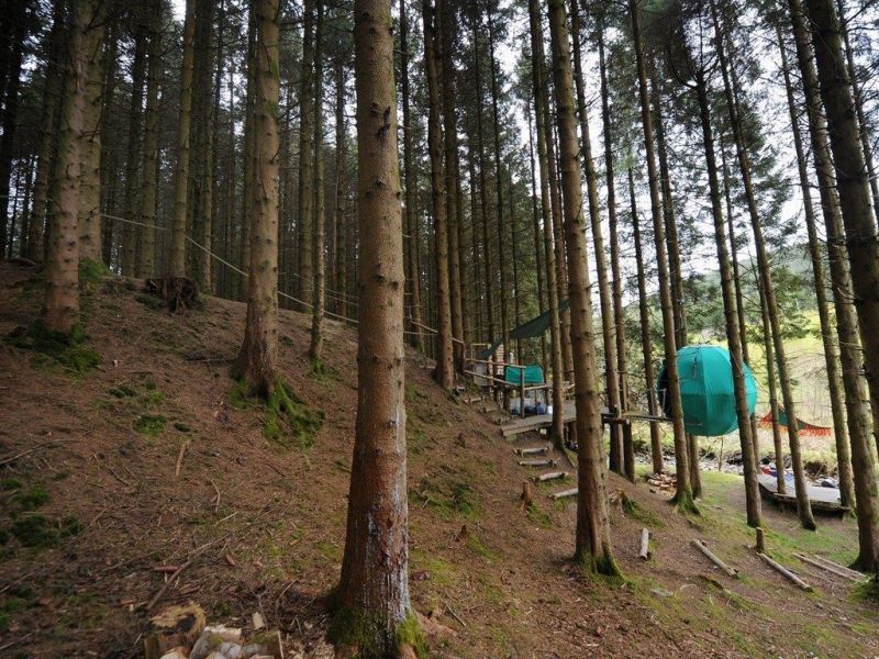 This Hanging Treehouse Pod in Wales, UK is Perfect to Disconnect from Mobile Phone 