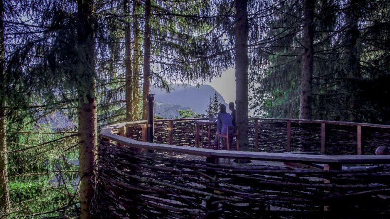 This Unique Treehouse in Mont Blanc, France Looks Like Bird’s Nest