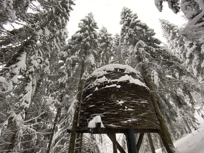 This Unique Treehouse in Mont Blanc, France Looks Like Bird’s Nest