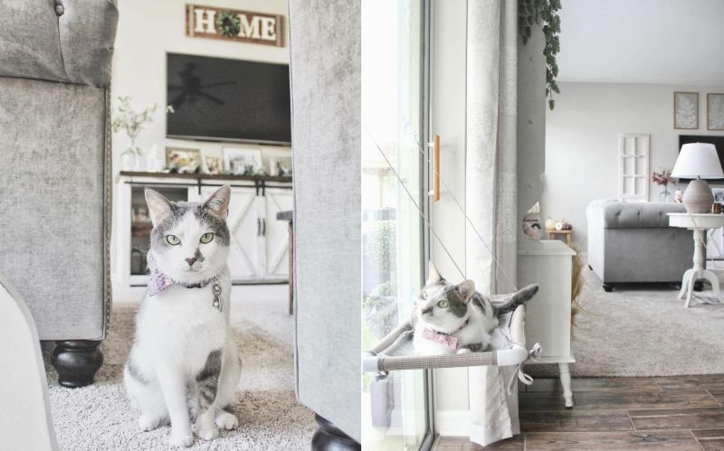 Couple Builds Separate Cat Room for their Beloved Kitty