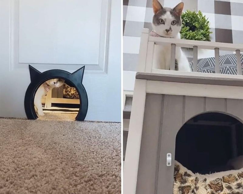 Couple Builds Separate Cat Room for their Beloved Kitty