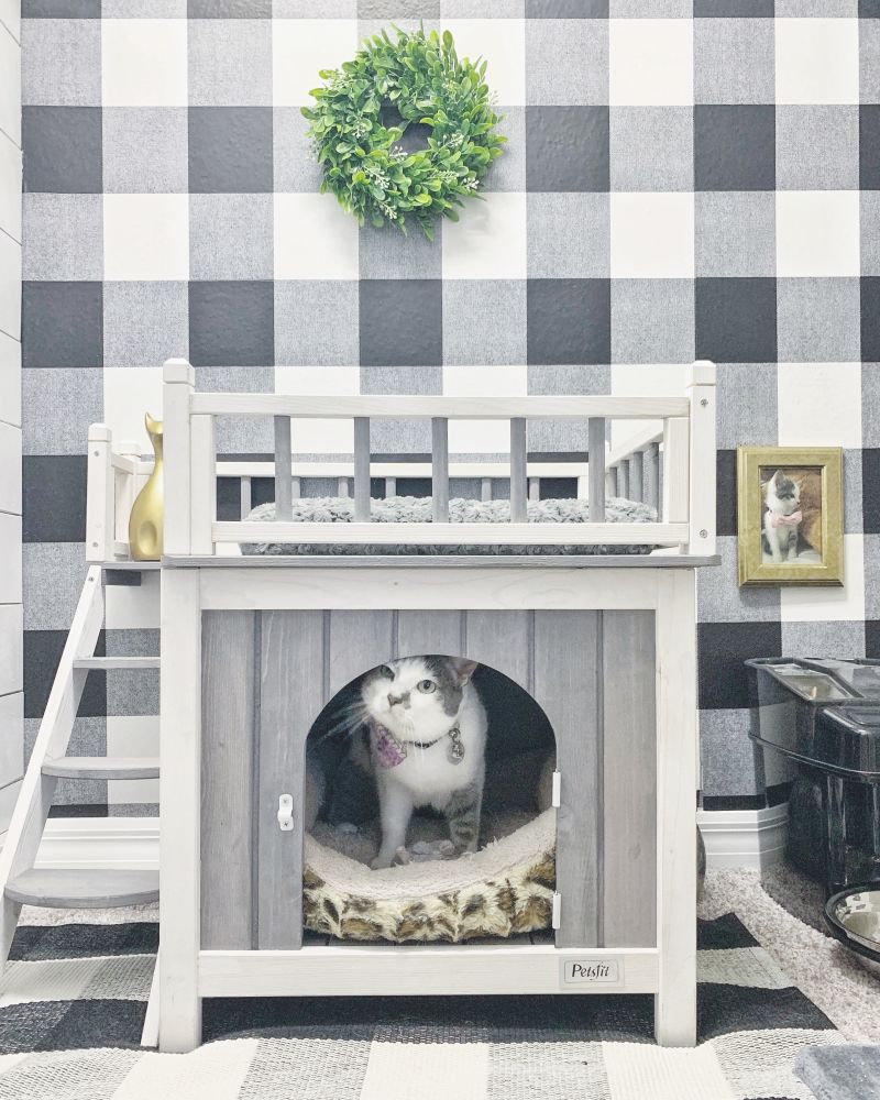 Couple Builds Separate Cat Room for their Beloved Kitty