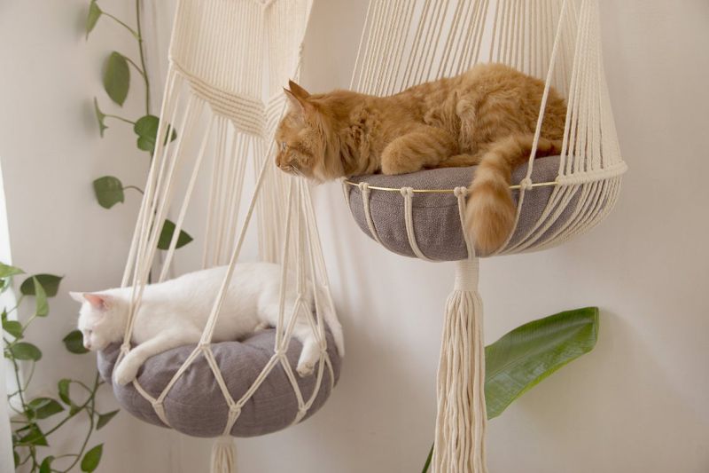 These Hanging Macramé Cat Hammocks are Purrrfect for Furry Companions 