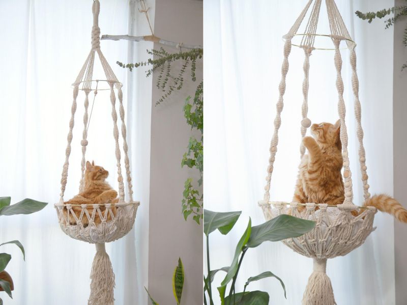 These Hanging Macramé Cat Hammocks are Purrrfect for Furry Companions 