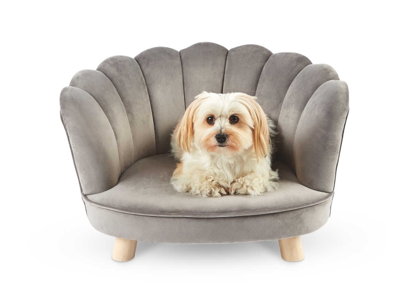 Aldi’s brand new pet furniture to make your pets rest in style 