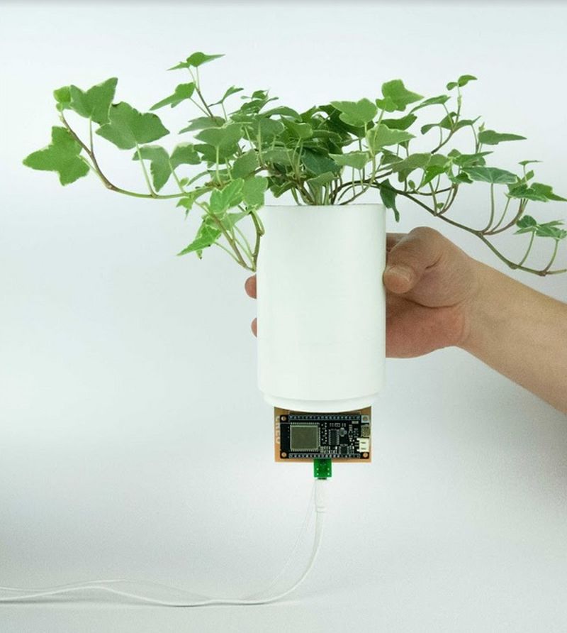 Creo Introduces AI-Powered BioBulb for Optimal Growth of Indoor Plants