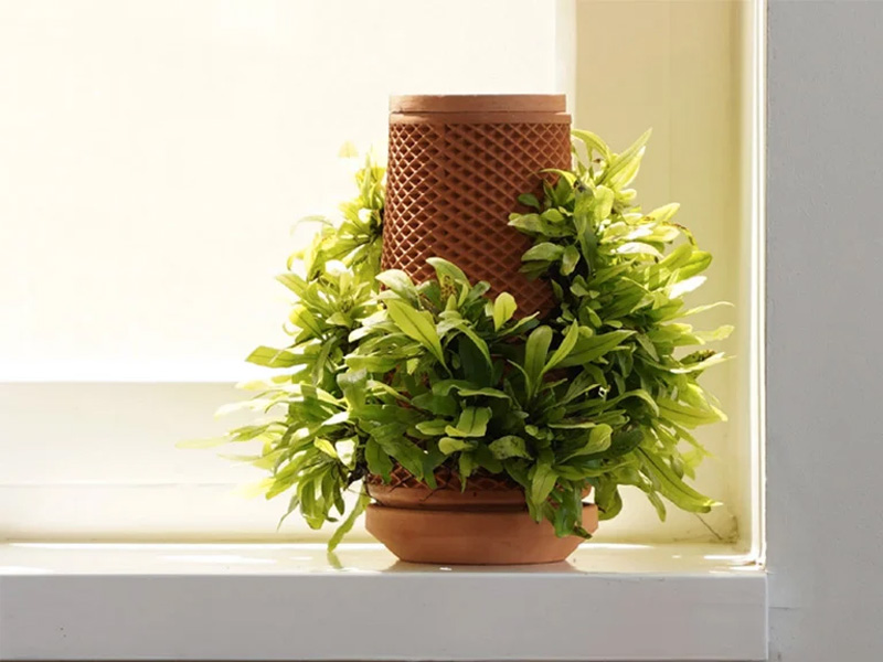 Inside out terraplanter, an optimal solution for plants to thrive indoors