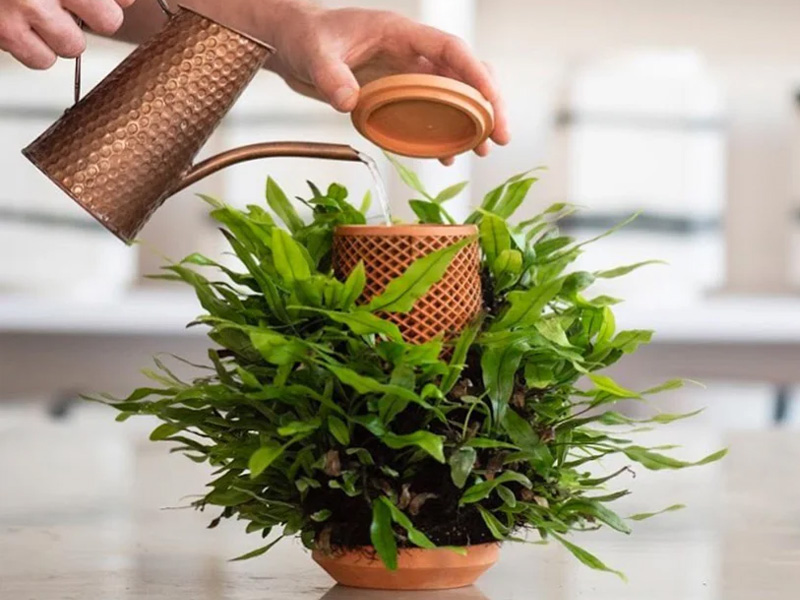 Inside out terraplanter, an optimal solution for plants to thrive indoors