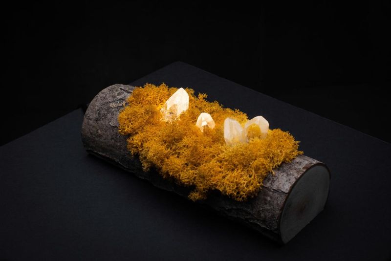 Shroom in the Room Creates Quirky Night Lamps out of Wood, Moss and Crystals