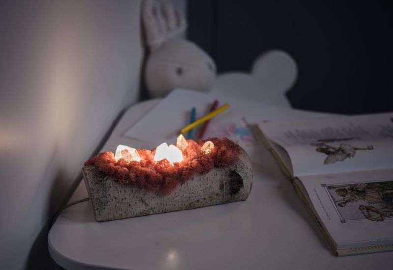 Shroom in the Room Creates Quirky Night Lamps out of Wood, Moss and Crystals