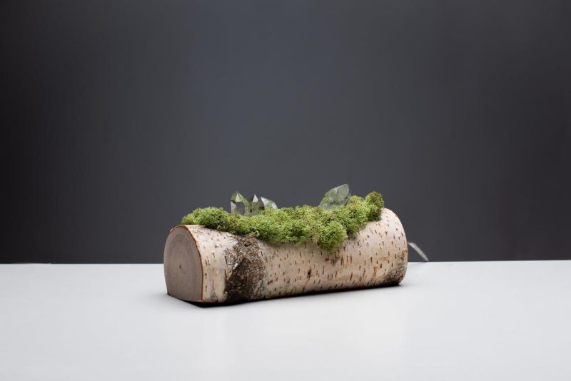 Shroom in the Room Creates Quirky Night Lamps out of Wood, Moss and Crystals