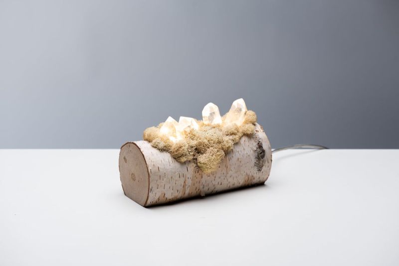 Shroom in the Room Creates Quirky Night Lamps out of Wood, Moss and Crystals