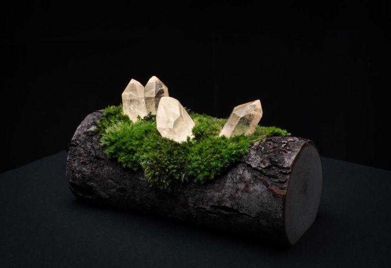 Shroom in the Room Creates Quirky Night Lamps out of Wood, Moss and Crystals