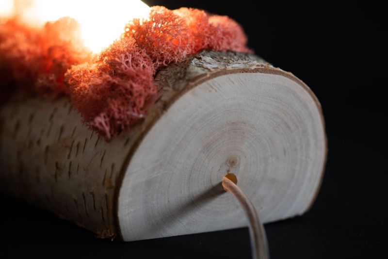 Shroom in the Room Creates Quirky Night Lamps out of Wood, Moss and Crystals