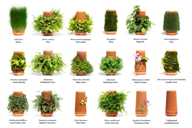 Inside out Hydroponic Terraplanter makes Planting Seem Effortless 