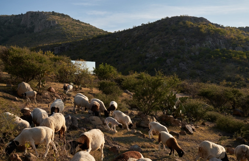 Casa Etérea Off-Grid Glass House Blends Into the Slopes of an Extinct Volcano