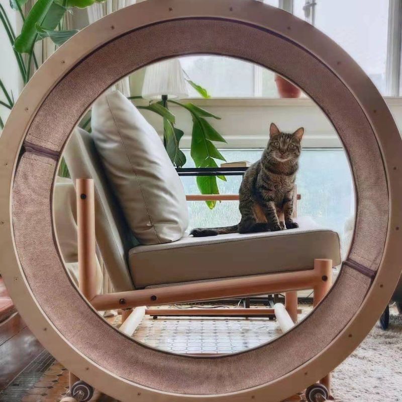 Loveseat Armchair with Cat Running Wheel is Perfect for Cat Lovers